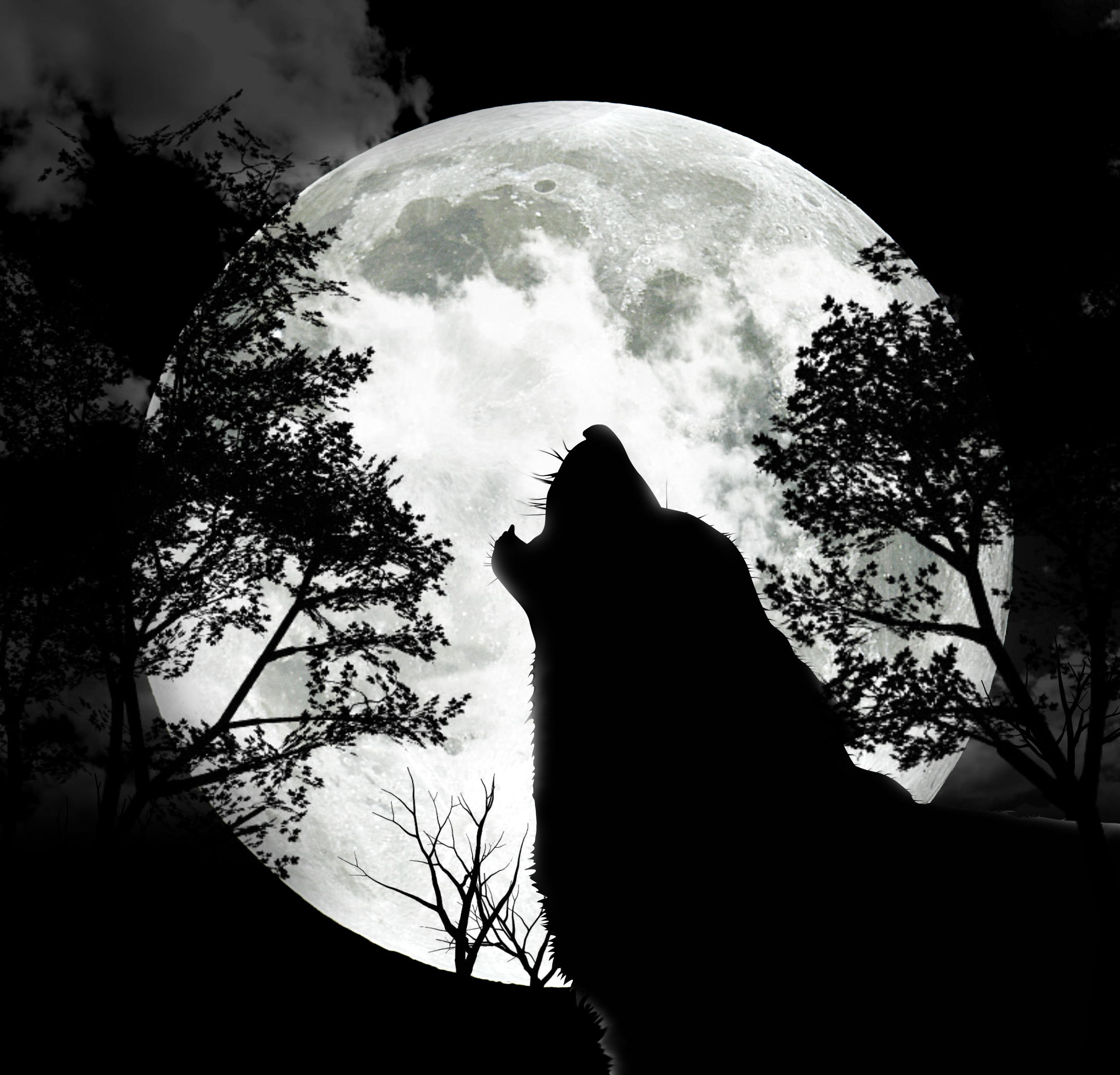 The Full Wolf Moon – 9th January '12  Lost in a daydream